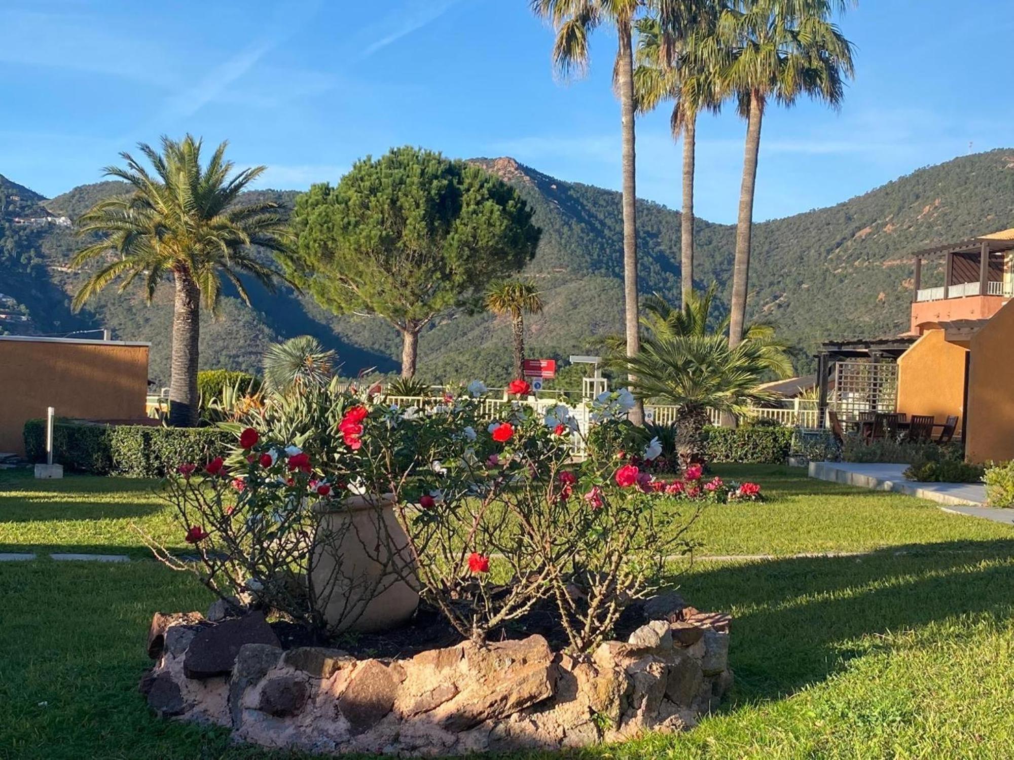 Vue Mer Et Jardin Theoule-sur-Mer Exterior photo